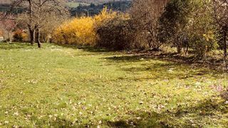  Maison � vendre 4 pi�ces 65 m�