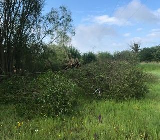  Terrain � vendre 12500 m�