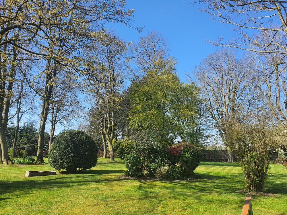 � vendre  Maison Lille (59800)