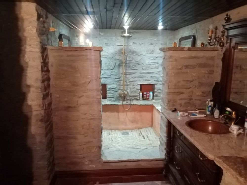 � vendre  Propri�t�/ch�teau Brassac (81260)