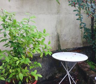  Maison � vendre 2 pi�ces 55 m�