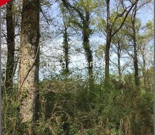  Terrain � vendre 34500 m�