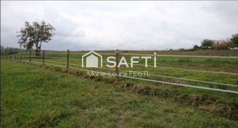   A 10 mn de Loches 37600 : votre futur projet immobilier sur un beau terrain � b�tir !  Vous r�vez de construire ? Ce terrain est Maison - 1 pi�ce(s) - 104 m�