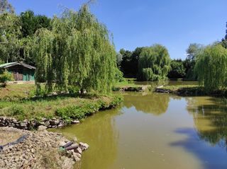  Maison � vendre 8 pi�ces 232 m�