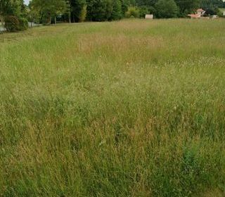  Terrain � vendre 1256 m�