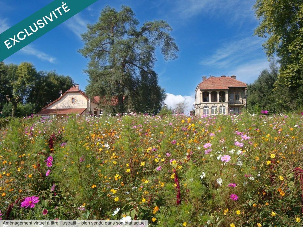 � vendre  Maison Louhans (71500)