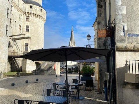 Vends fonds de commerce Langeais f&acirc;ce au ch&acirc;teau 50000 37130 Langeais