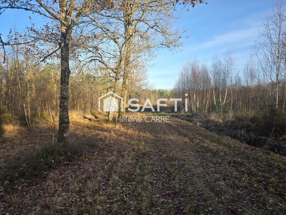 � vendre  Maison Presly (18380)