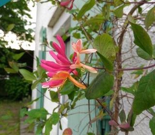  Maison � vendre 6 pi�ces 216 m�