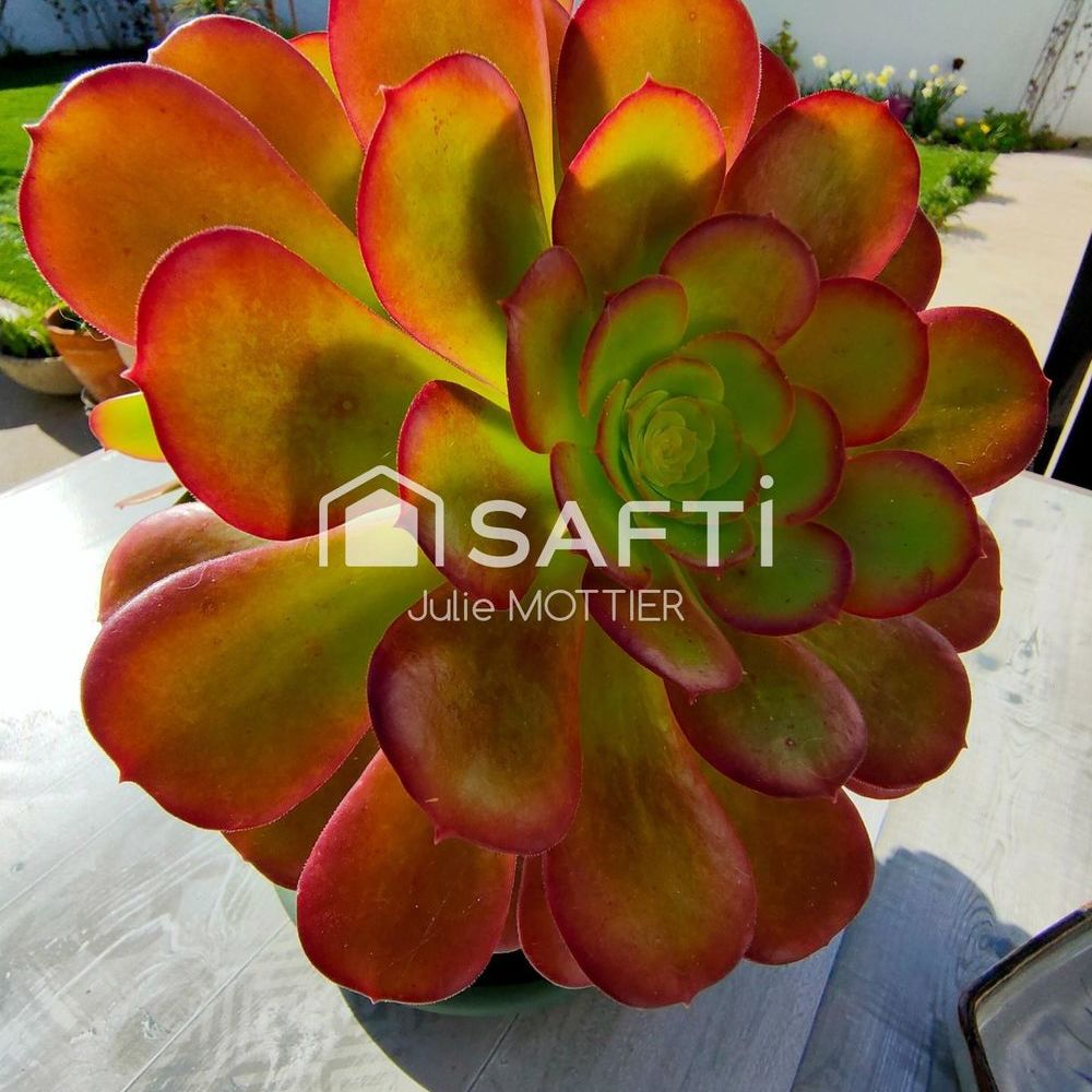 � vendre  Maison Le Bois-Plage-en-R� (17580)