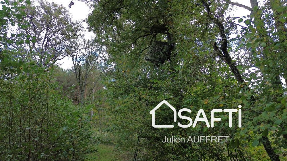 � vendre  Maison Souesmes (41300)