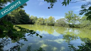  Terrain � vendre 10201 m�