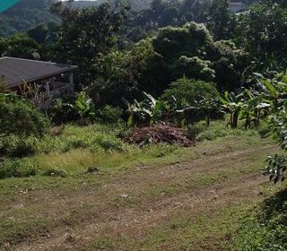  Terrain � vendre 905 m�