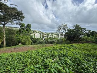  Terrain � vendre 2479 m�