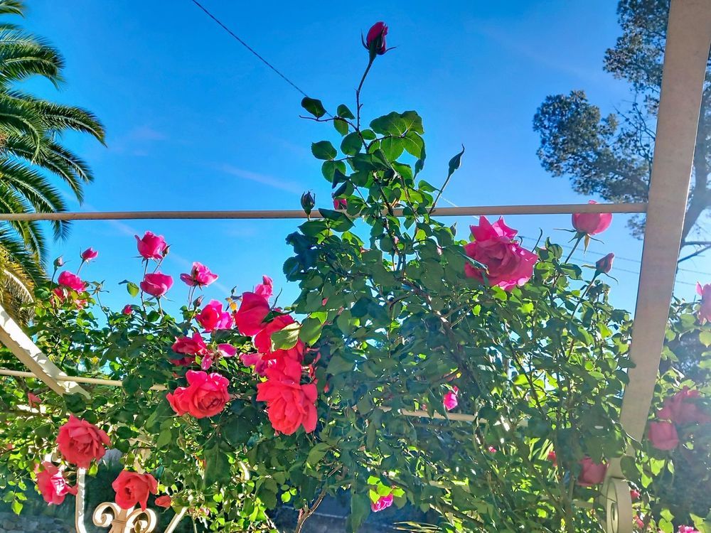 � vendre  Maison Saint-Rapha�l (83700)