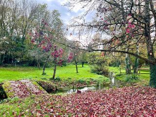  Maison � vendre 11 pi�ces 362 m�