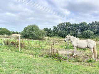  Maison � vendre 9 pi�ces 278 m�