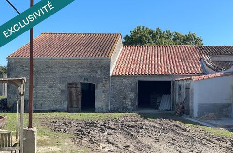   Ancienne ferme agricole Maison - 3 pi�ce(s) - 180 m�