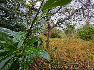  Maison � vendre 5 pi�ces 90 m�