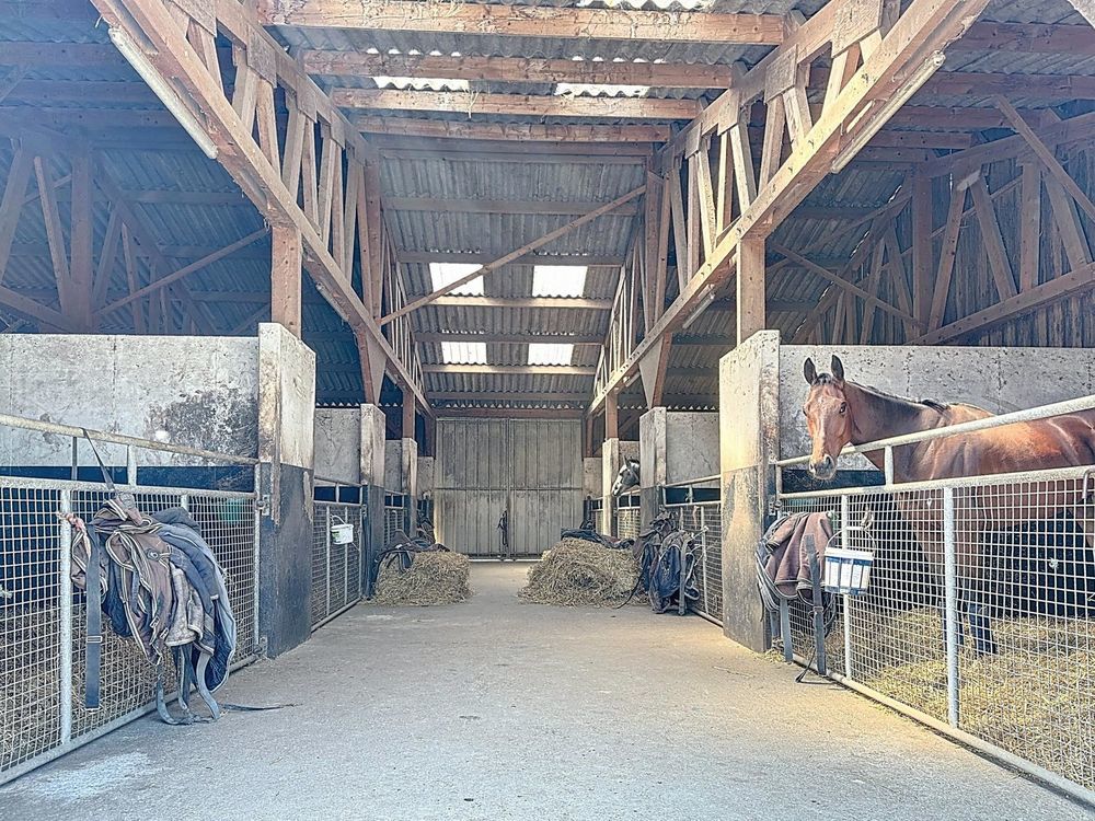 � vendre  Maison Ch�teau-Gontier (53200)