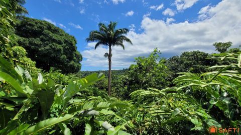 Charmants g&icirc;tes nich&eacute;s au coeur de la For&ecirc;t Tropicale! 1399900 97170 Petit-bourg