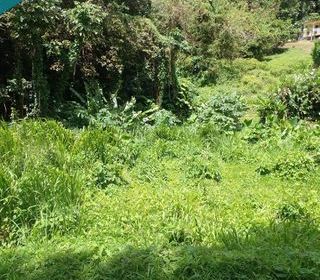  Terrain � vendre 3030 m�