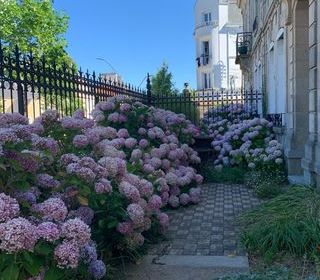  H�tel Particulier � vendre 10 pi�ces 280 m�