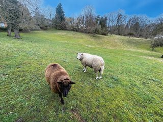  Terrain � vendre 4400 m�