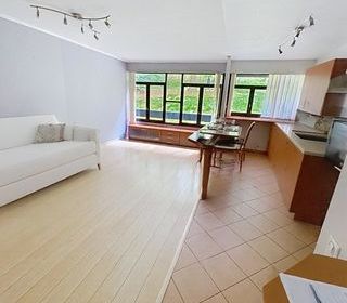  Appartement � vendre 2 pi�ces 52 m�