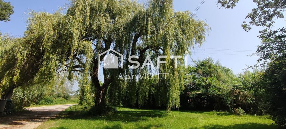 � vendre  Maison Lavaur (81500)