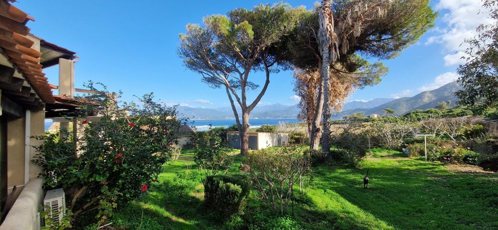 � vendre  Maison Calcatoggio (20111)