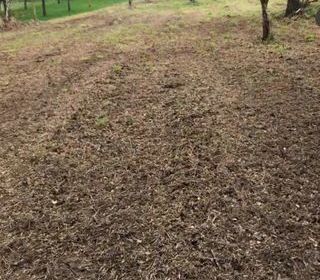  Maison � vendre 1 pi�ce 30 m�