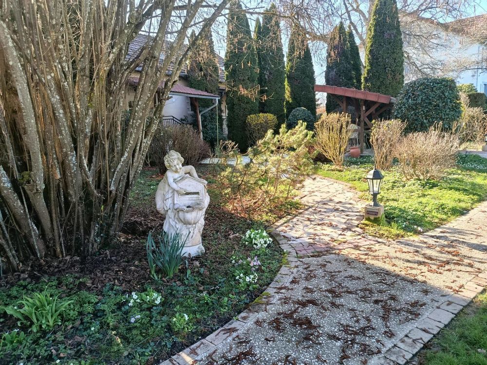 � vendre  Maison Jeanm�nil (88700)