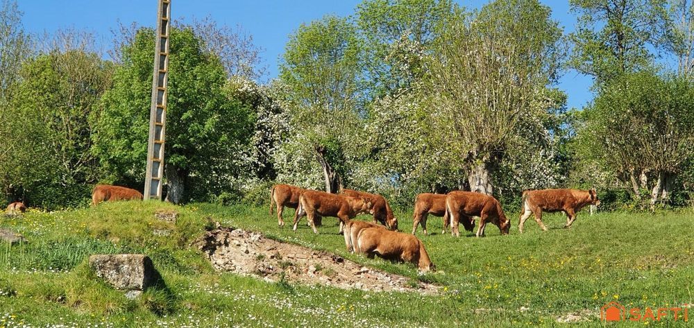 � vendre  Maison Pont-l'�v�que (14130)