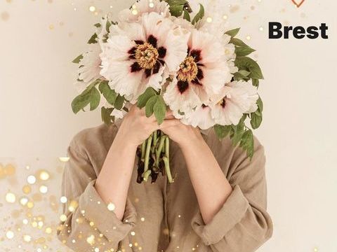 Excellente visibilit&eacute;, client&egrave;le bien &eacute;tablie 53200 29200 Brest