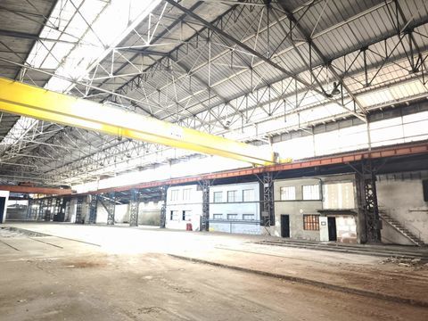 Id&eacute;al entre Lyon et Saint-Etienne 1166000 42800 Rive-de-gier