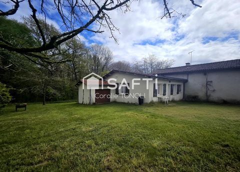   Maison lou�e + 10 000 m� + potentiel Maison - 3 pi�ce(s) - 67 m�