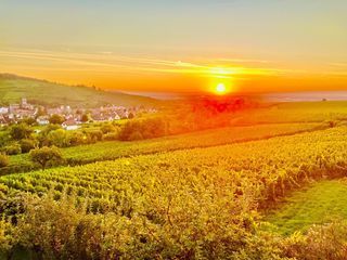  Maison � vendre 15 + pi�ces 295 m�