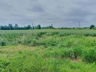  Terrain � vendre 985 m�