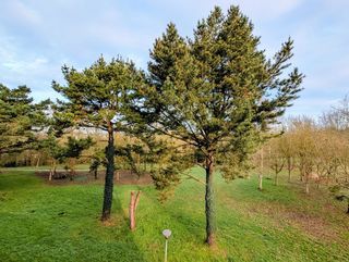  Appartement � vendre 3 pi�ces 70 m�