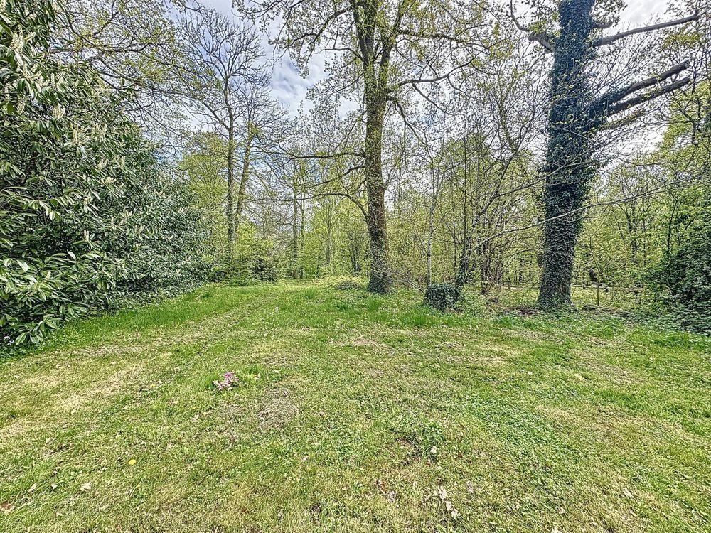 � vendre  Propri�t�/ch�teau Villeneuve-sur-Yonne (89500)