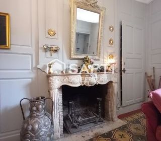  H�tel Particulier � vendre 12 pi�ces 318 m�