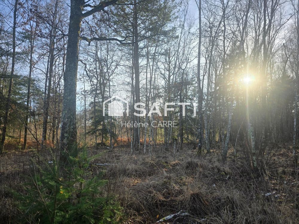 � vendre  Maison Presly (18380)