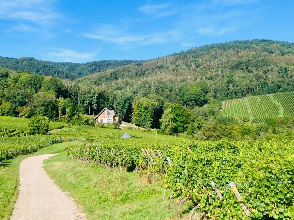 � vendre  Maison Ribeauvill� (68150)