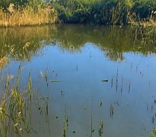  Terrain � vendre 3522 m�