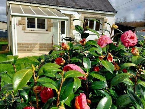   maison plo�rdut Maison - 3 pi�ce(s) - 72 m�