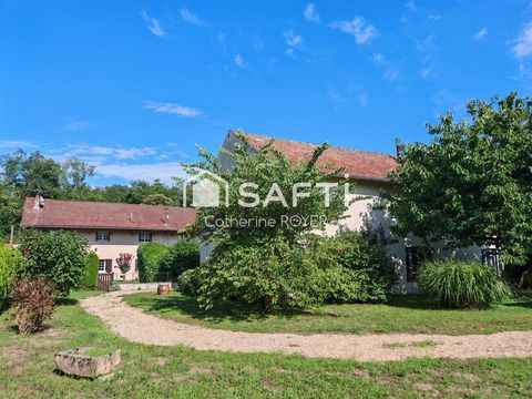   Maison 3 chambres, un studio attenant et grand garage Maison - 8 pi�ce(s) - 202 m�