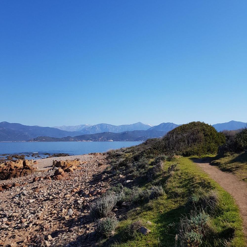 � vendre  Maison Calcatoggio (20111)