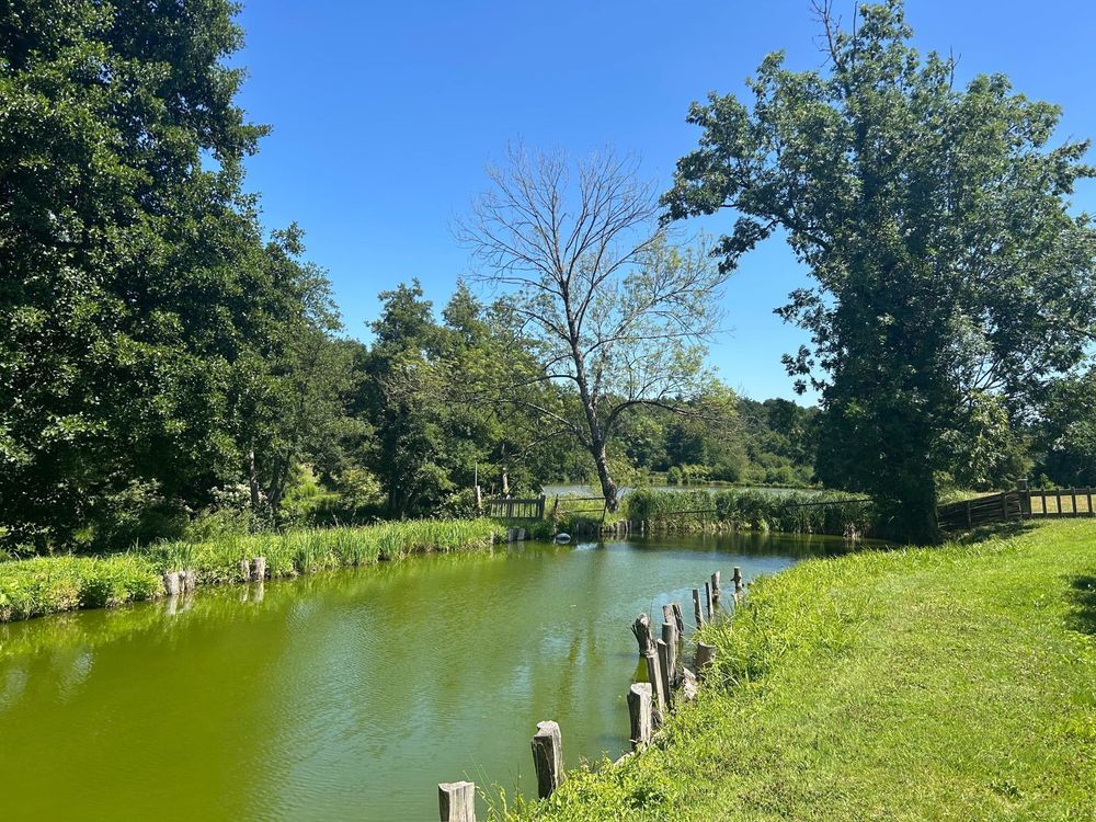 � vendre  Maison Tourouvre (61190)