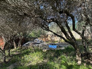  Terrain � vendre 1352 m�